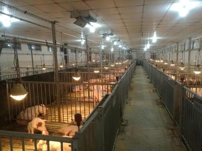 實驗基地動物飼養(yǎng)管理體系