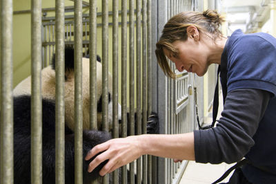 探訪法國博瓦勒動物園大熊貓飼養(yǎng)員團(tuán)隊 守護(hù)中法友誼的動物守護(hù)者