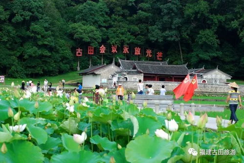 龍巖市古田旅游區(qū)關(guān)于規(guī)范景區(qū)參觀游覽管理的通告